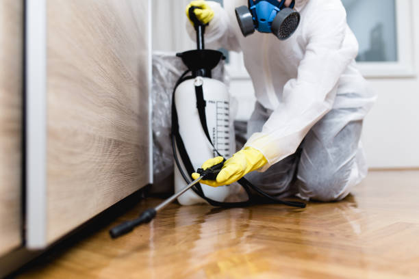 Best Wasp Removal Services  in Gladstone, MI