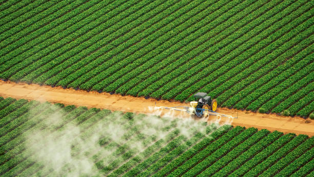 Best Termite Control Services  in Gladstone, MI