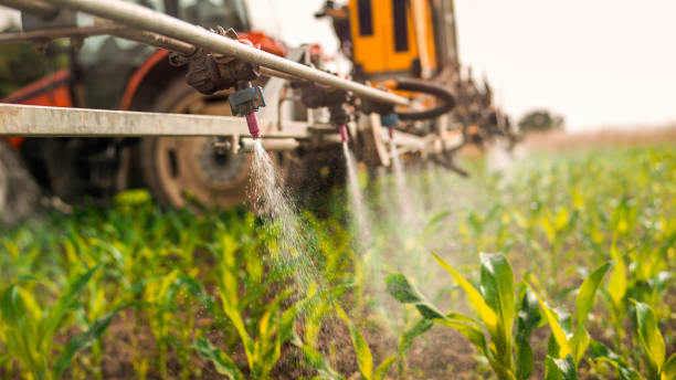 Best Pest Removal Services  in Gladstone, MI
